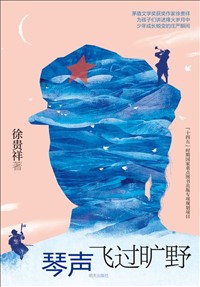 琴聲飛過(guò)曠野.jpg